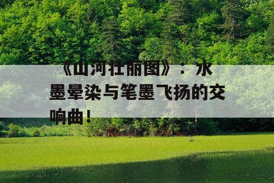  《山河壮丽图》：水墨晕染与笔墨飞扬的交响曲！